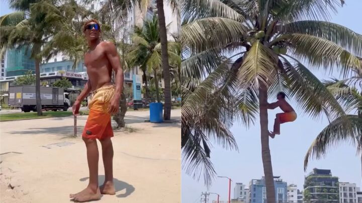 Dân mạng không khỏi bất ngờ bởi kỹ năng hái dừa vô cùng thượng thừa. (Ảnh chụp màn hình)