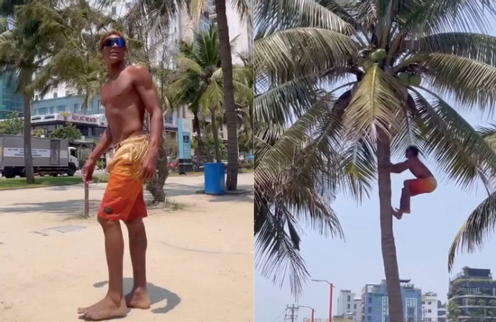 Chàng Tây du lịch Đà Nẵng hái dừa thoăn thoắt khiến dân mạng phục lăn