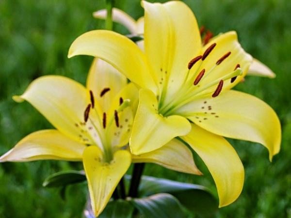 Đúng ngày mai, Chủ Nhật 12/4/2026, 3 con giáp ôm trọn tiền tỷ, vàng bạc chật két, mọi điều suôn sẻ, thời kỳ hoàng kim rực rỡ - Ảnh 1