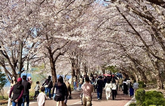 Giao bài tập lạ cho sinh viên, giáo sư ngành kỹ thuật gây 'bão' trên mạng xã hội