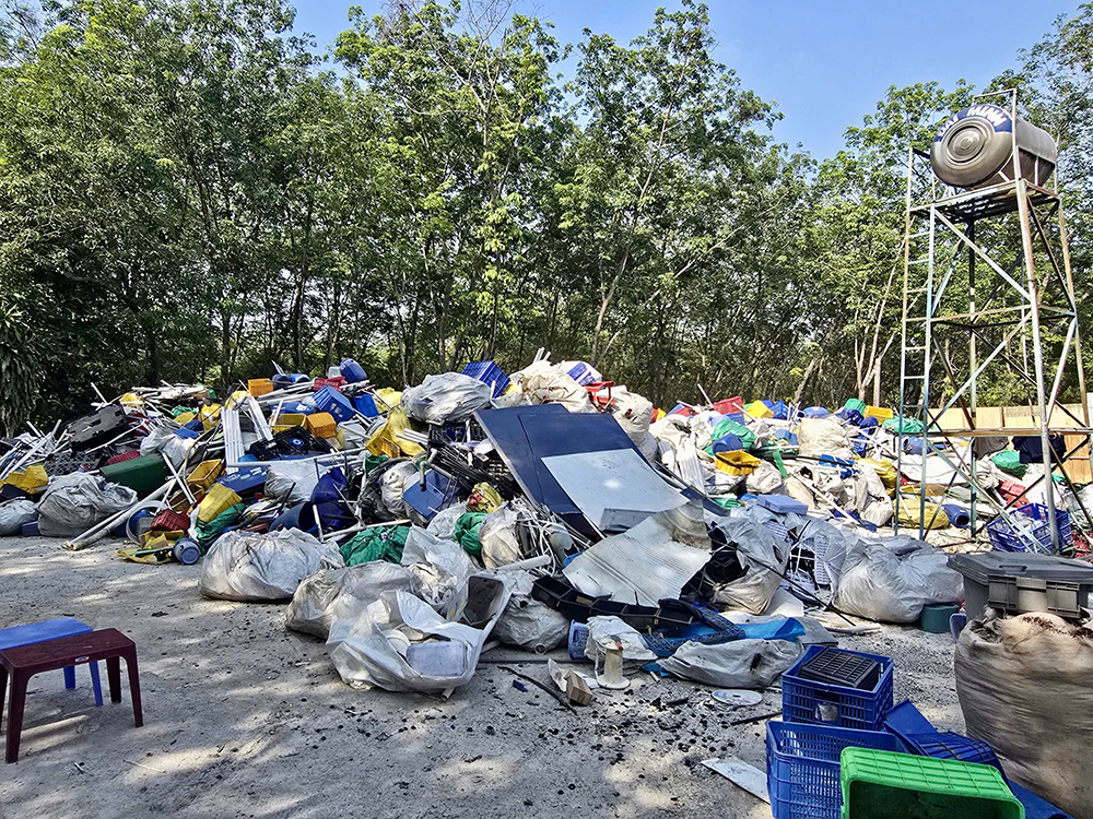 toi pham moi truong 5.png