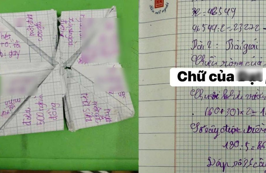 Người mẹ không tay chân dùng miệng làm việc, nuôi 3 con trưởng thành插图1