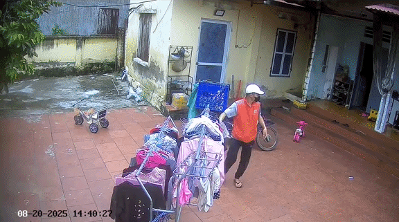 hanh95a ezgifcom crop