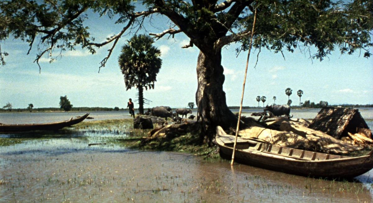 865e0a1e fc9f 4c9c 936f 75f3c3a9e17a 1.jpg