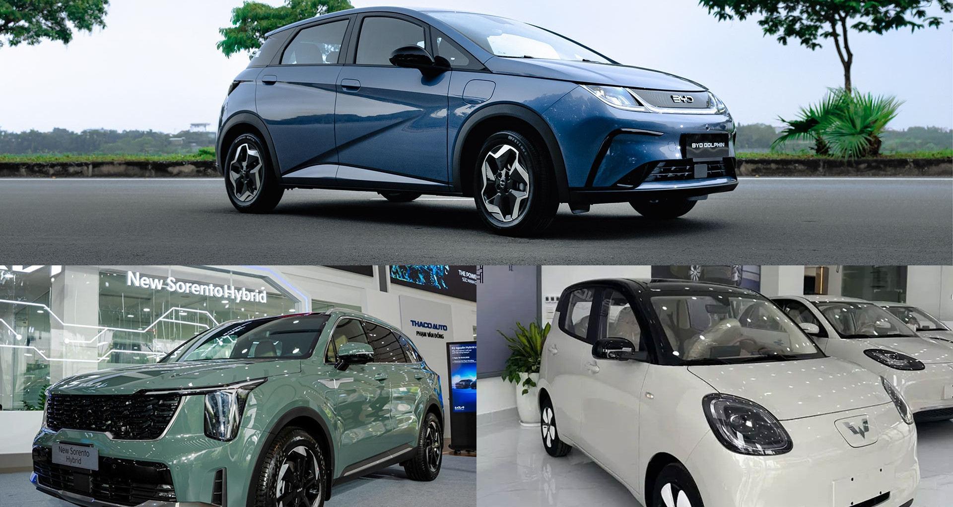 Toyota 4Runner bất ngờ tông trúng cá sấu lao nằm ngang đường插图1 Toyota 4Runner bất ngờ tông trúng cá sấu lao nằm ngang đường插图1