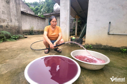 Vụ nước giếng màu tím: Công ty gây ô nhiễm phải tạm dừng hoạt động ngay