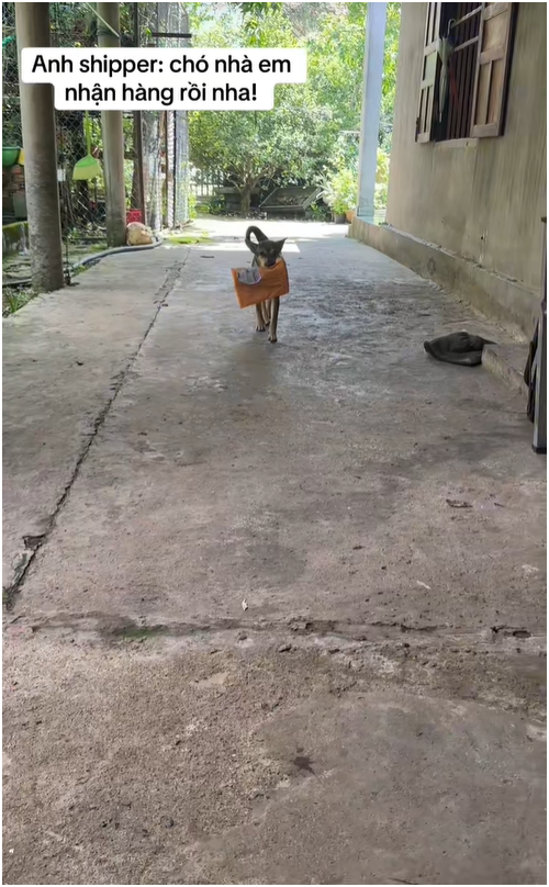 screenshot 2026 04 22 184331