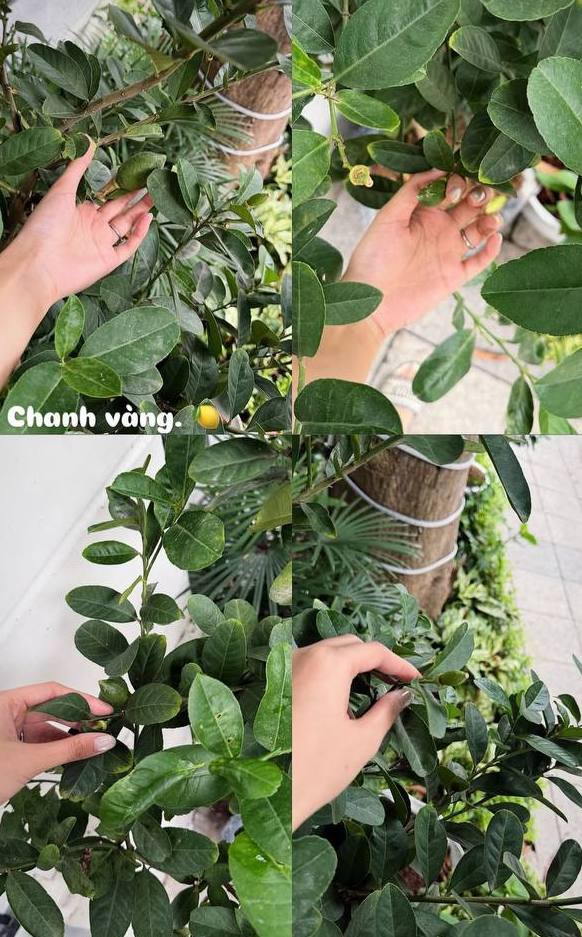 photo2026 04 24 073930