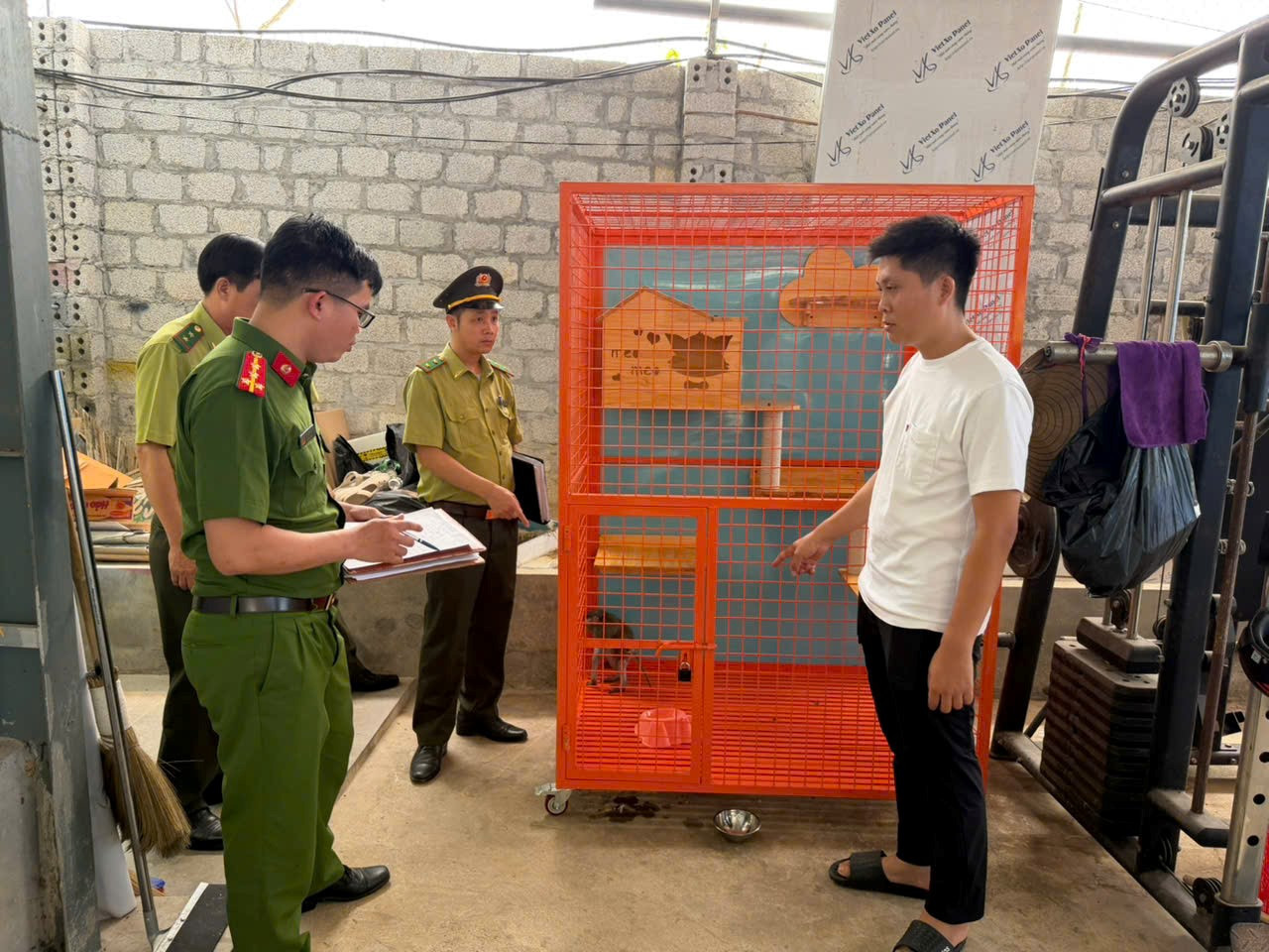 Cá thể khỉ nuôi nhốt trái phép 2.jpg