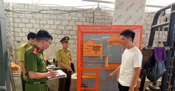 Người đàn ông nuôi động vật hoang dã quý hiếm trái phép suốt 4 năm tại nhà