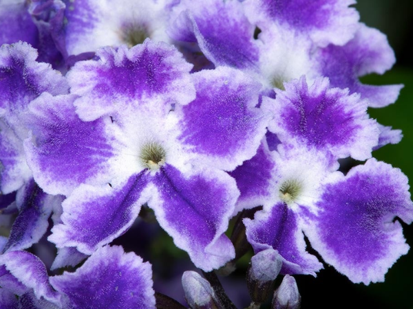 Đúng ngày mai, thứ Hai 27/4/2026, 3 con giáp Thần Tài tặng bao tiền, thoát kiếp khó khăn, ra ngõ hốt vàng, giàu sang vô đối - Ảnh 3