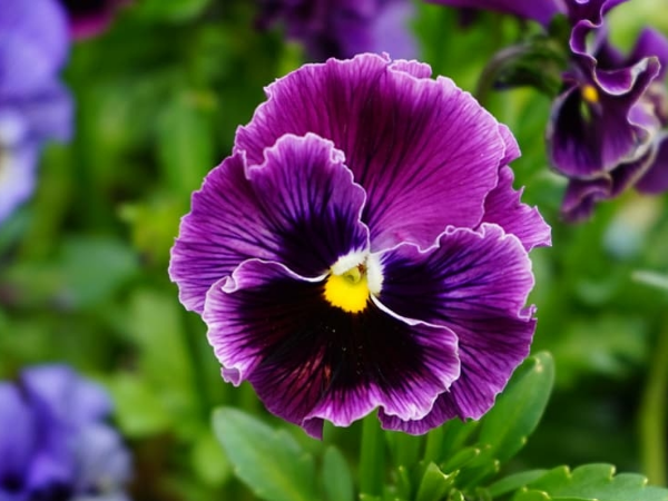 Đúng ngày mai, thứ Hai 27/4/2026, 3 con giáp Thần Tài tặng bao tiền, thoát kiếp khó khăn, ra ngõ hốt vàng, giàu sang vô đối - Ảnh 2