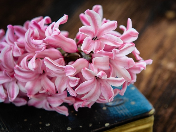 Trúng giải đặc biệt vào cuối tháng 4 dương lịch, 3 con giáp giàu có vang danh, rẽ trái thấy núi vàng, rẽ phải đụng núi bạc - Ảnh 1