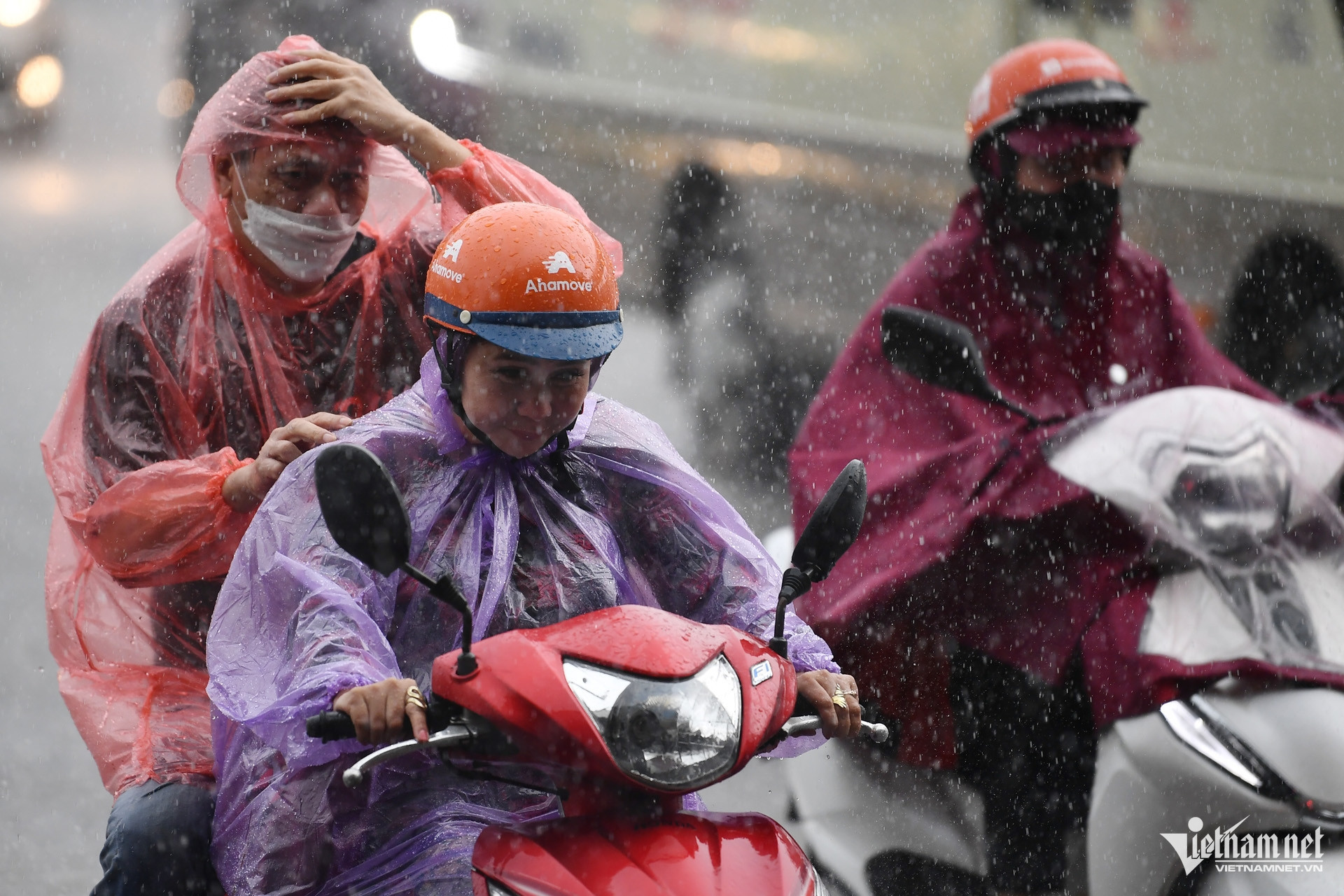 W-mua to hoang minh 6.jpg