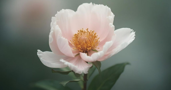 3 ngày sinh Âm lịch có số 'phú quý từ trong trứng nước'