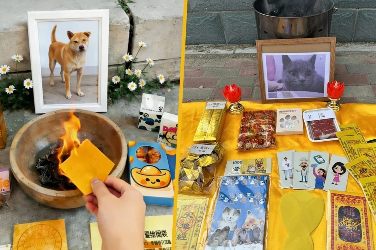 Tưởng tranh trẻ con vẽ chơi, ai ngờ là ảnh chân dung chú chó đi lạc chính xác đến từng cọng lông插图3 Tưởng tranh trẻ con vẽ chơi, ai ngờ là ảnh chân dung chú chó đi lạc chính xác đến từng cọng lông插图3