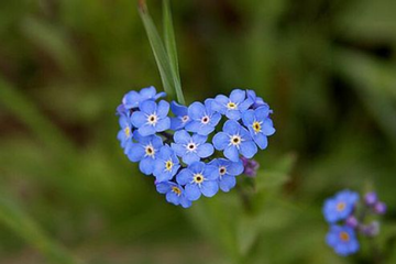 Mừng 3 con giáp vàng đầy chật két trong tuần mới, vận may vây kín lối trong 21 ngày tới