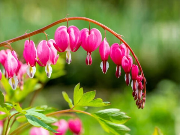 Mừng 3 con giáp ‘TIỀN ĐÈ NGƯỜI’, vàng đầy chật két trong tuần mới, vận may vây kín lối muốn thoát cũng không được trong 21 ngày tới - Ảnh 1