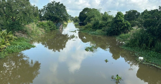 Hai trẻ nhỏ chới với rồi bị nước nhấn chìm, mất tích trên sông