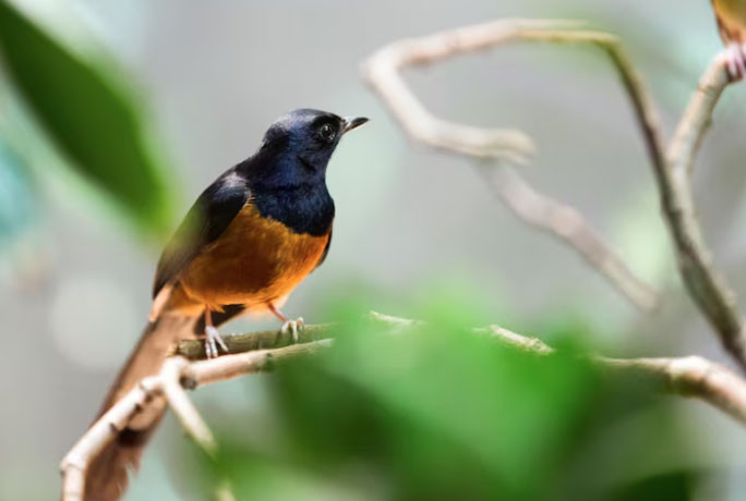 Số cuối ngày sinh Âm lịch mang mệnh 'hút tiền': Thần Tài theo sát, sự nghiệp vững vàng - Ảnh 2.