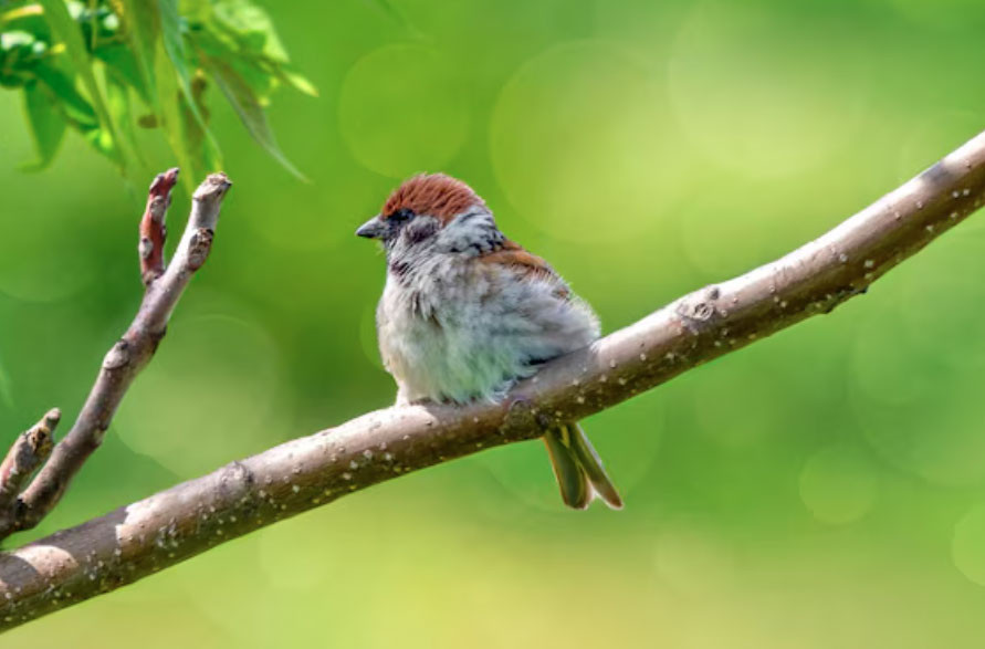 Số cuối ngày sinh Âm lịch mang mệnh 'hút tiền': Thần Tài theo sát, sự nghiệp vững vàng - Ảnh 3.