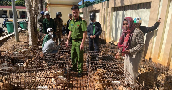 Phát hiện 70 con chó nhốt lồng sắt, công an phá đường dây trộm cắp quy mô lớn
