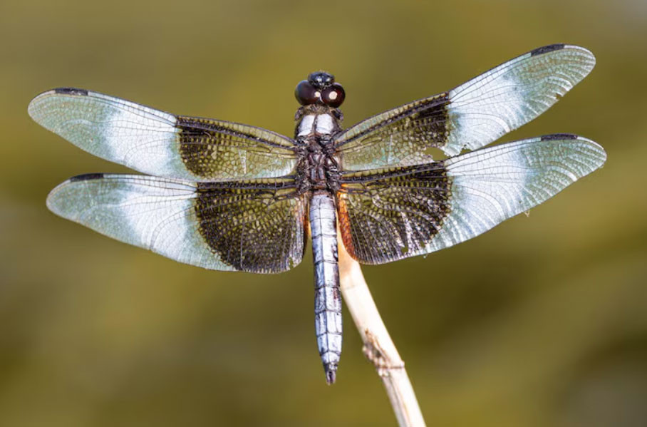 4 số cuối ngày sinh Âm lịch của người khéo vun vén, gia đình luôn thuận hòa - Ảnh 1.