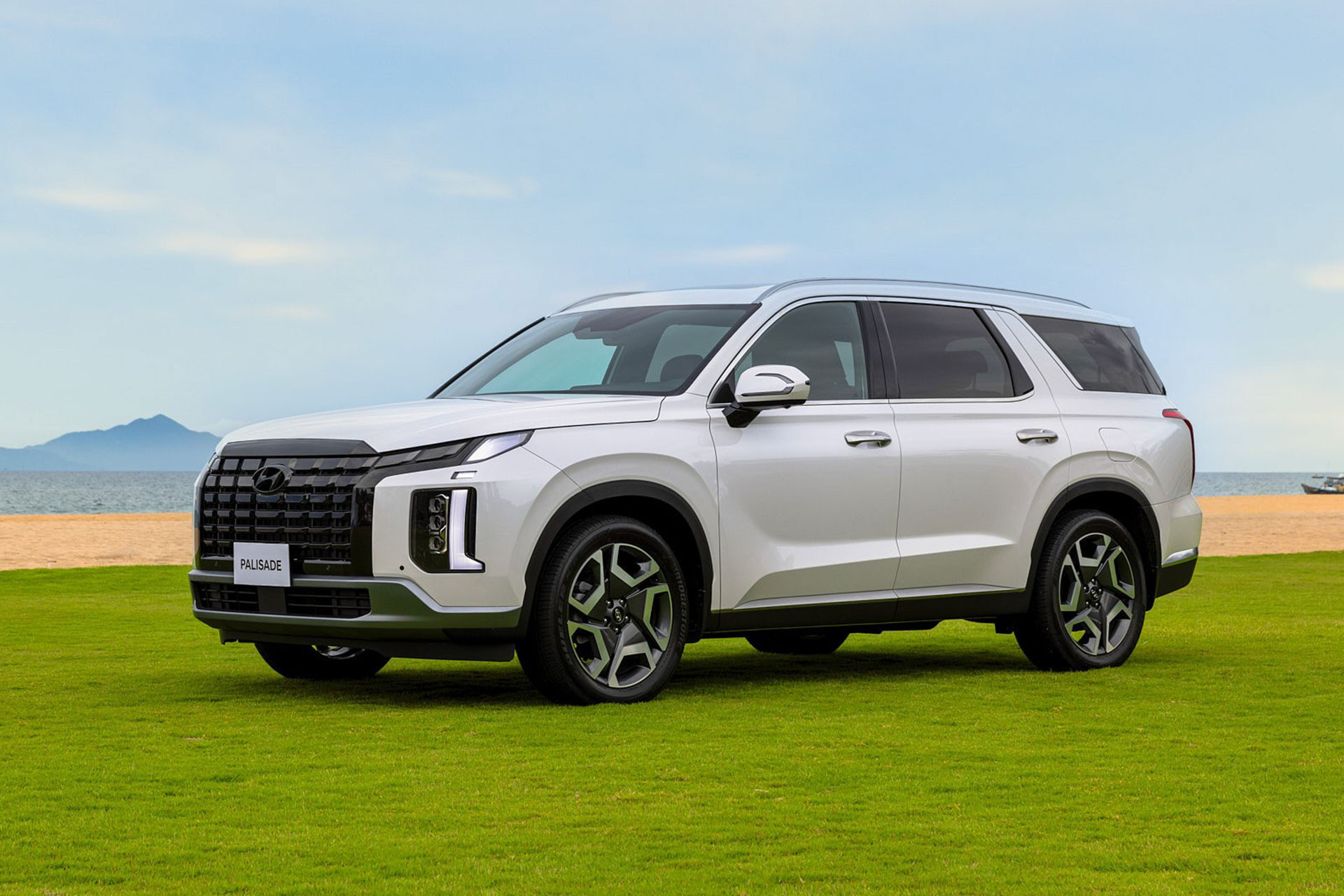 hyundai palisade 402.jpg