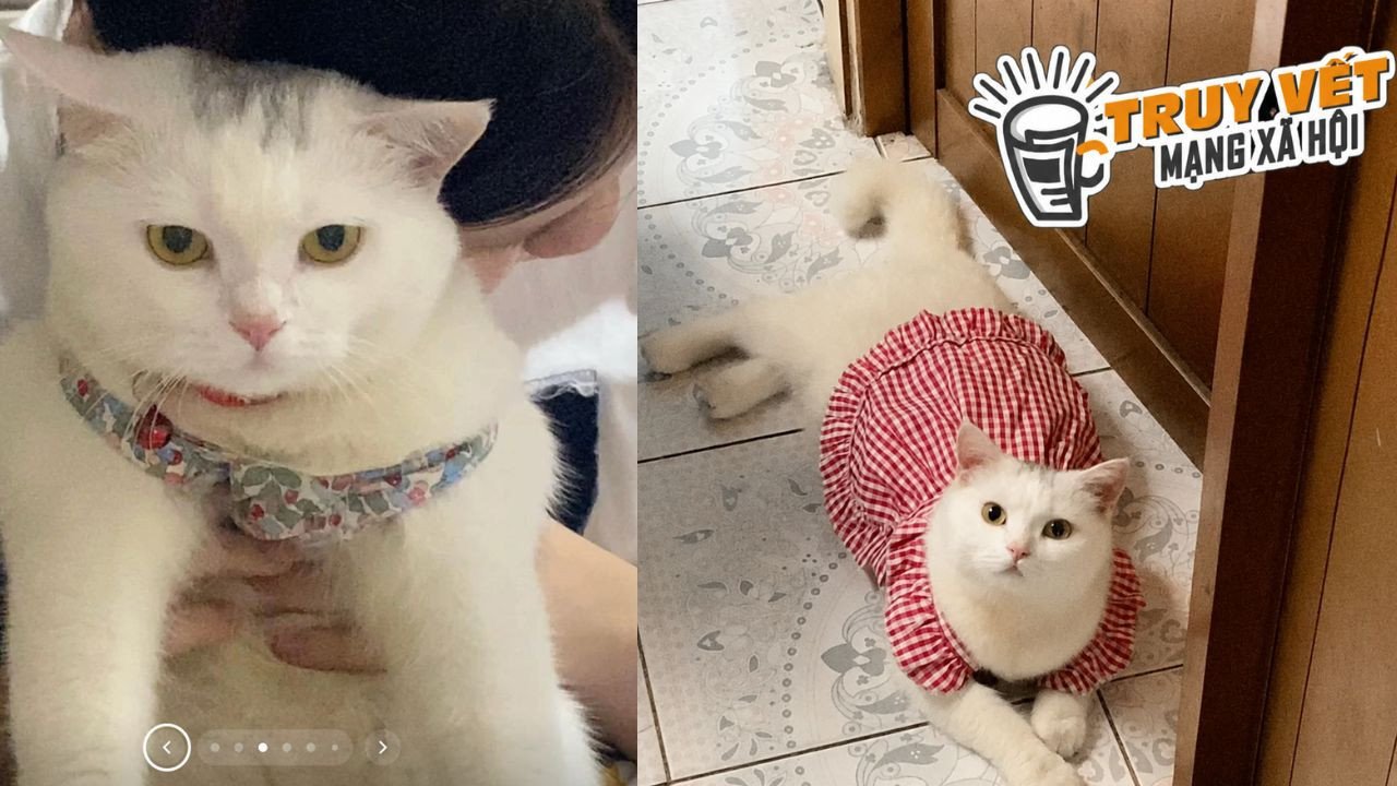 Công an bắt người phụ nữ - Ảnh 2.