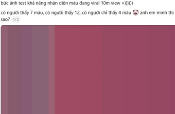 'Bức ảnh đếm màu đang viral với 10 triệu view': Đáp án cuối cùng là gì?