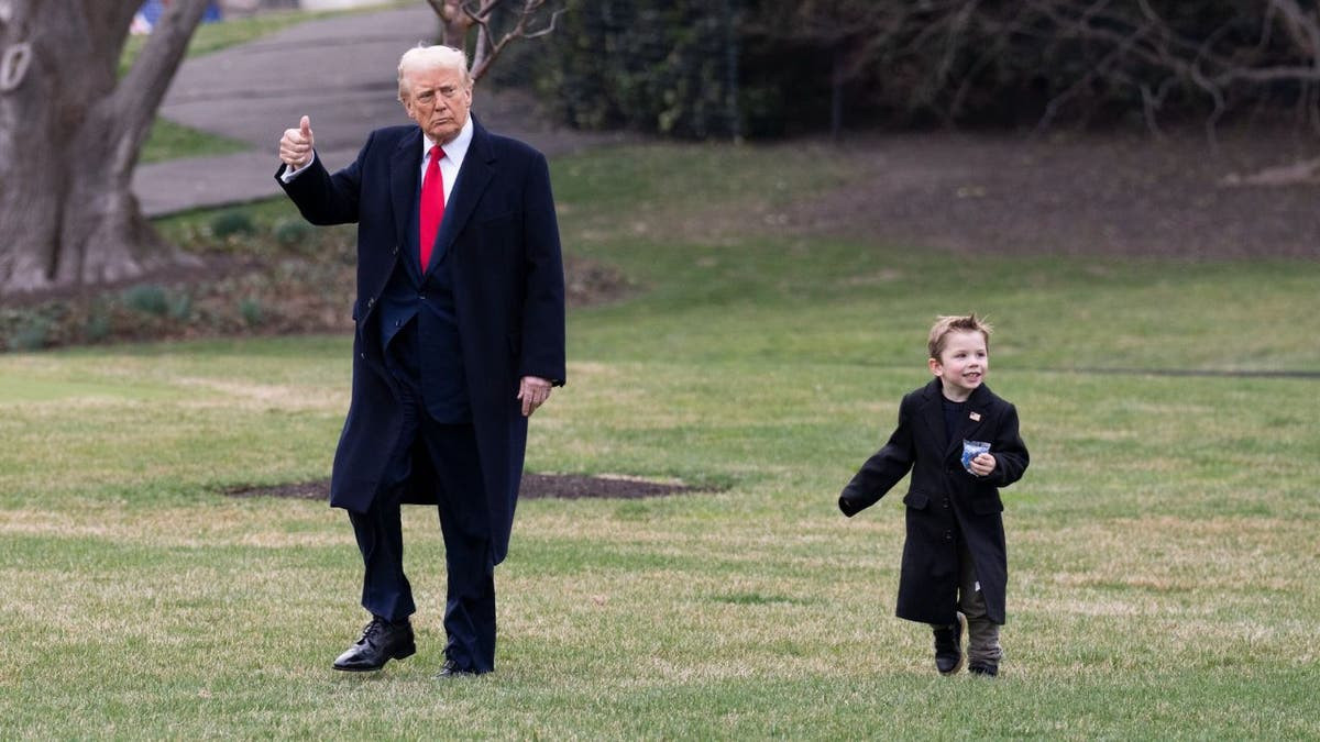 This picture of President Trump and Elon Musk's son Æ A-Xii,, or