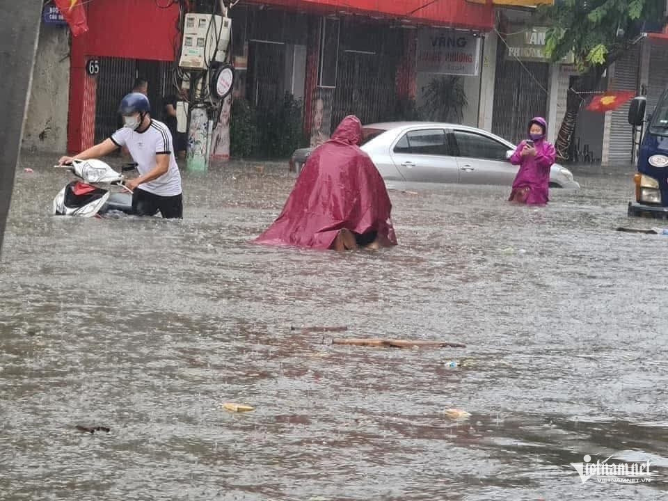 w hai phong 2 1275.jpeg