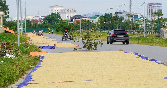 Cảnh tượng gây 'nhức mắt' trên đường, tài xế ô tô thấp thỏm lo va chạm