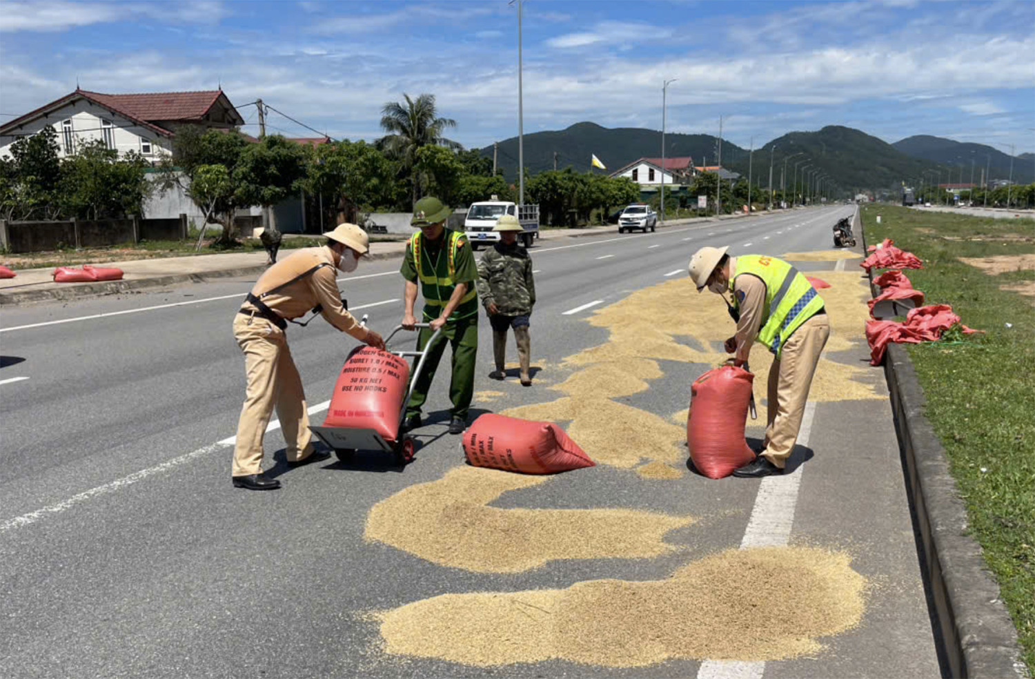 Cảnh tượng gây 'nhức mắt' trên đường, tài xế ô tô thấp thỏm lo va chạm插图2 phơi lúa 10.jpg