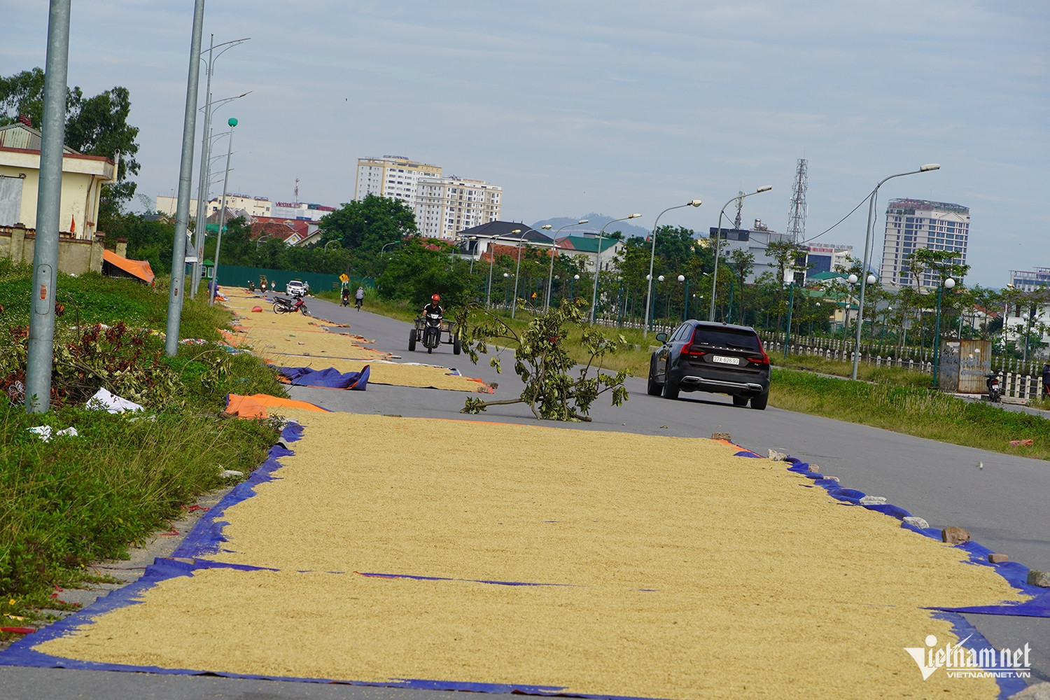 Cảnh tượng gây 'nhức mắt' trên đường, tài xế ô tô thấp thỏm lo va chạm插图1 W-phơi lúa 5.JPG.jpg