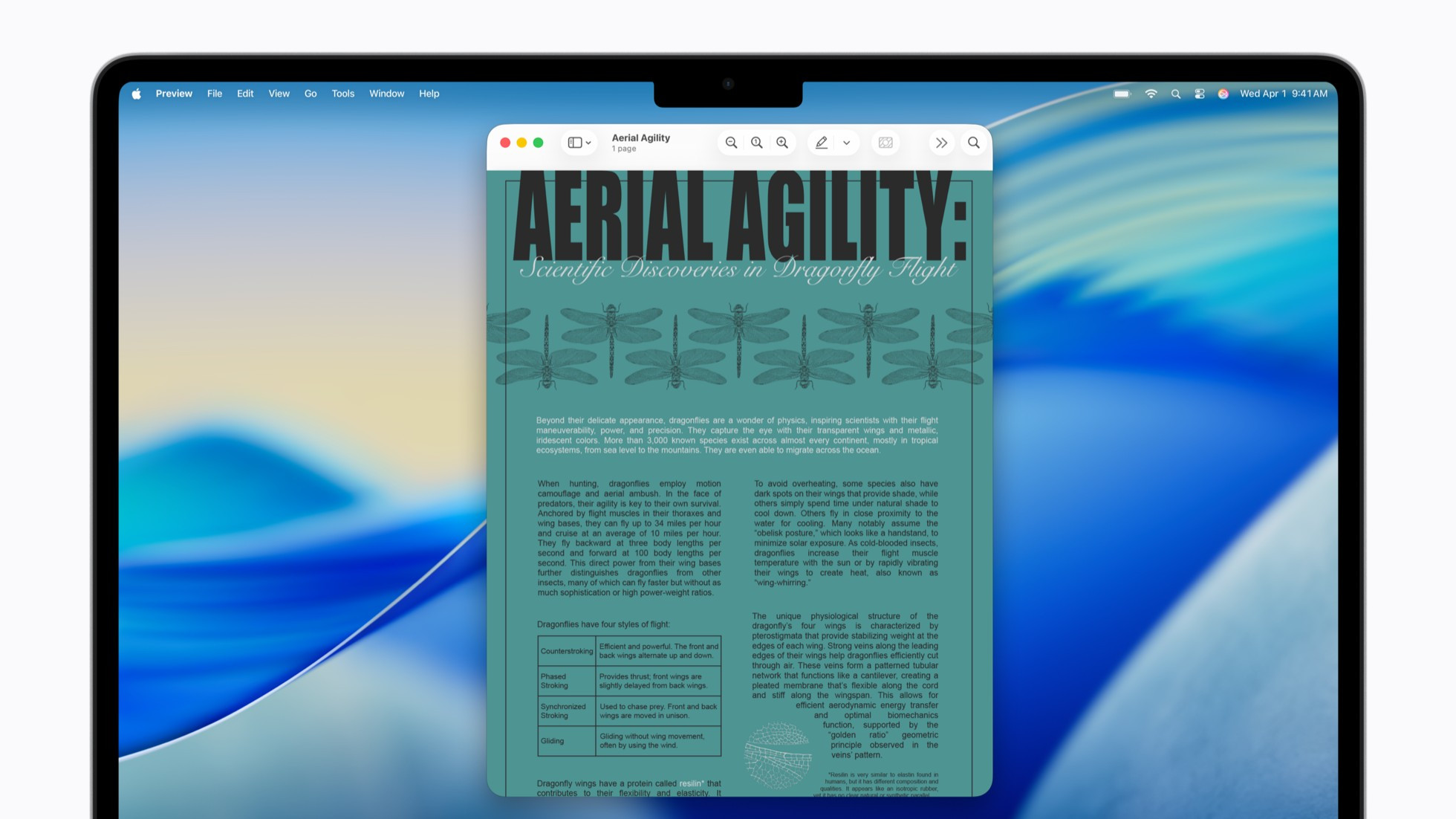 apple accessibility features accessibility reader on mac beforebigjpglarge2x