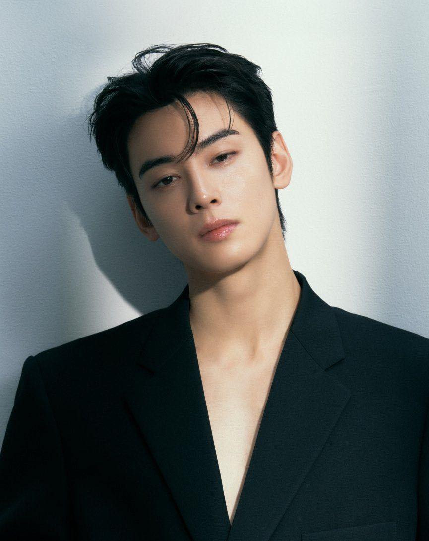 cha eun woo