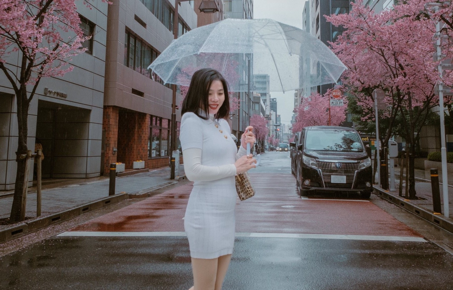 le quyen 1779680225.jpg