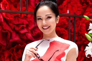 Diva Hồng Nhung mặt sưng vù vẫn lên sân khấu diễn, tìm chỗ dựa khi điều trị ung thư