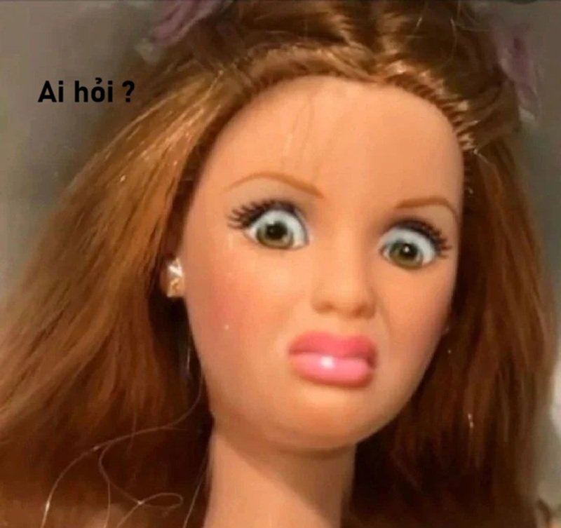 meme ai hoi 24