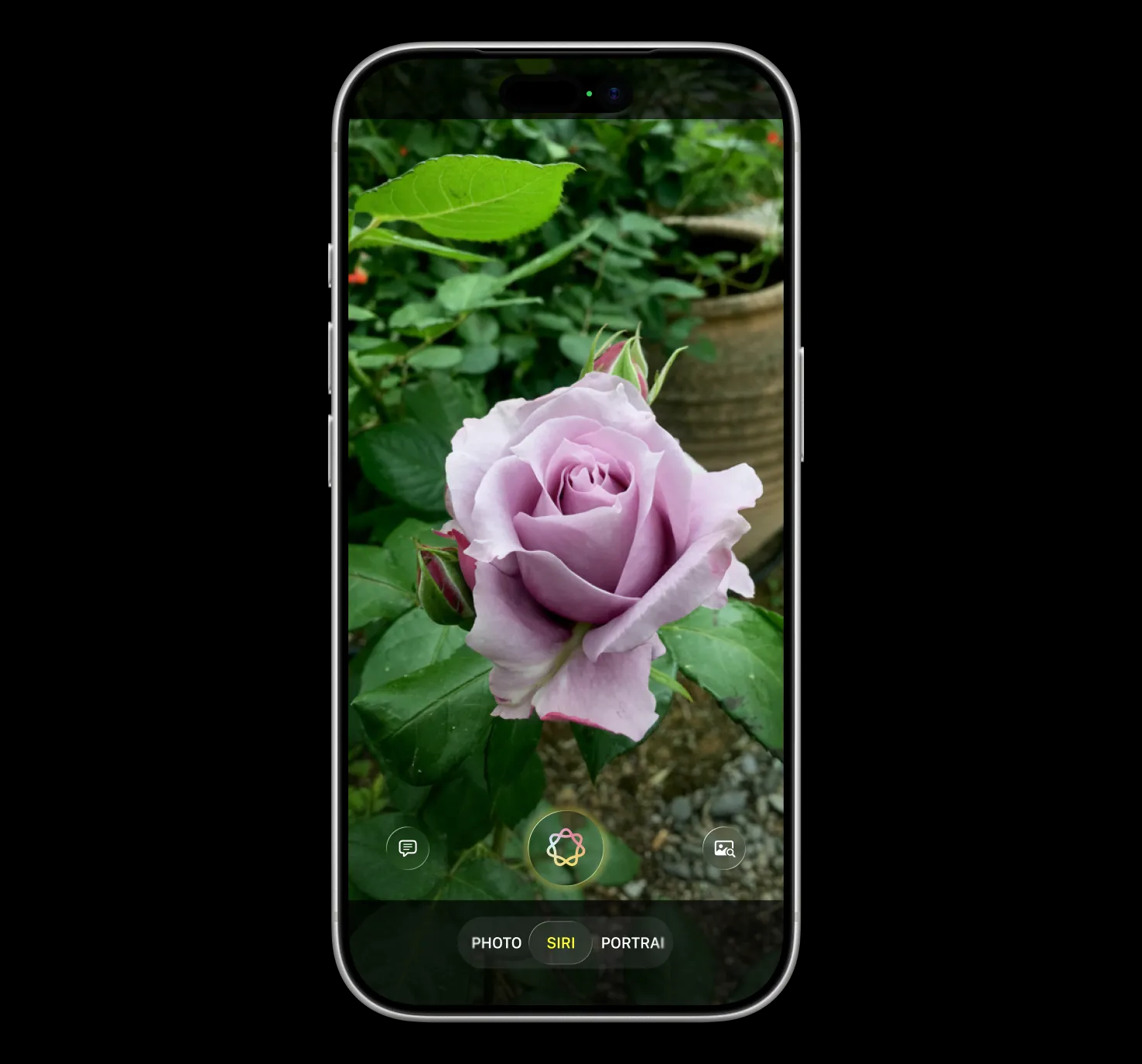 apple siri moi 3 2884.png