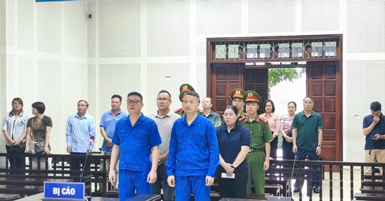 Cựu giám đốc Công ty Viglacera Hạ Long 2 bị phạt 15 năm tù