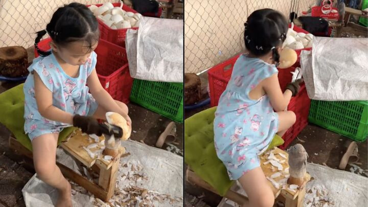 Dân mạng trao danh hiệu