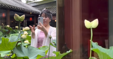 'Hoa sen song sinh' hiếm thấy nở trong quán trà, nhiều người tới chiêm ngưỡng