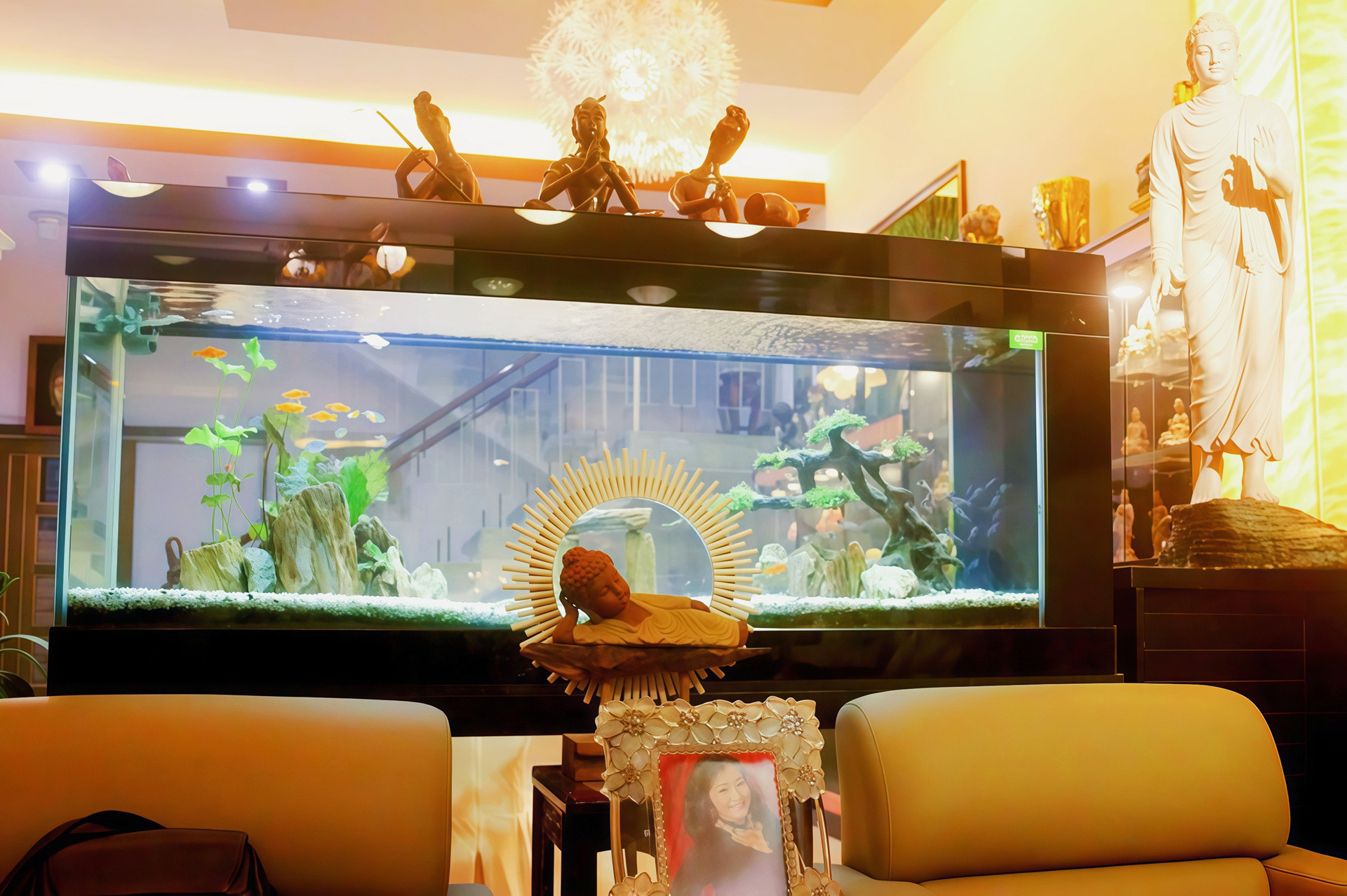 meitu 20260613 141547996 2486.jpg