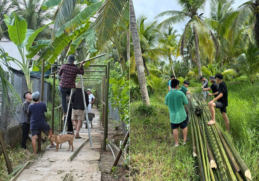 Cưới mối tình 13 năm, chú rể làm cổng hoa độc đáo, trang trí cả con ngõ 100m插图1 anh 2.jpg