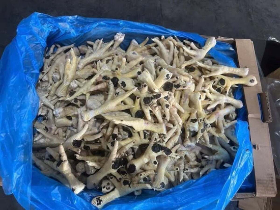 Bắt giam Giám đốc Công ty cổ phần XNK An Bình buôn lậu hàng nghìn tấn chân gà đông lạnh