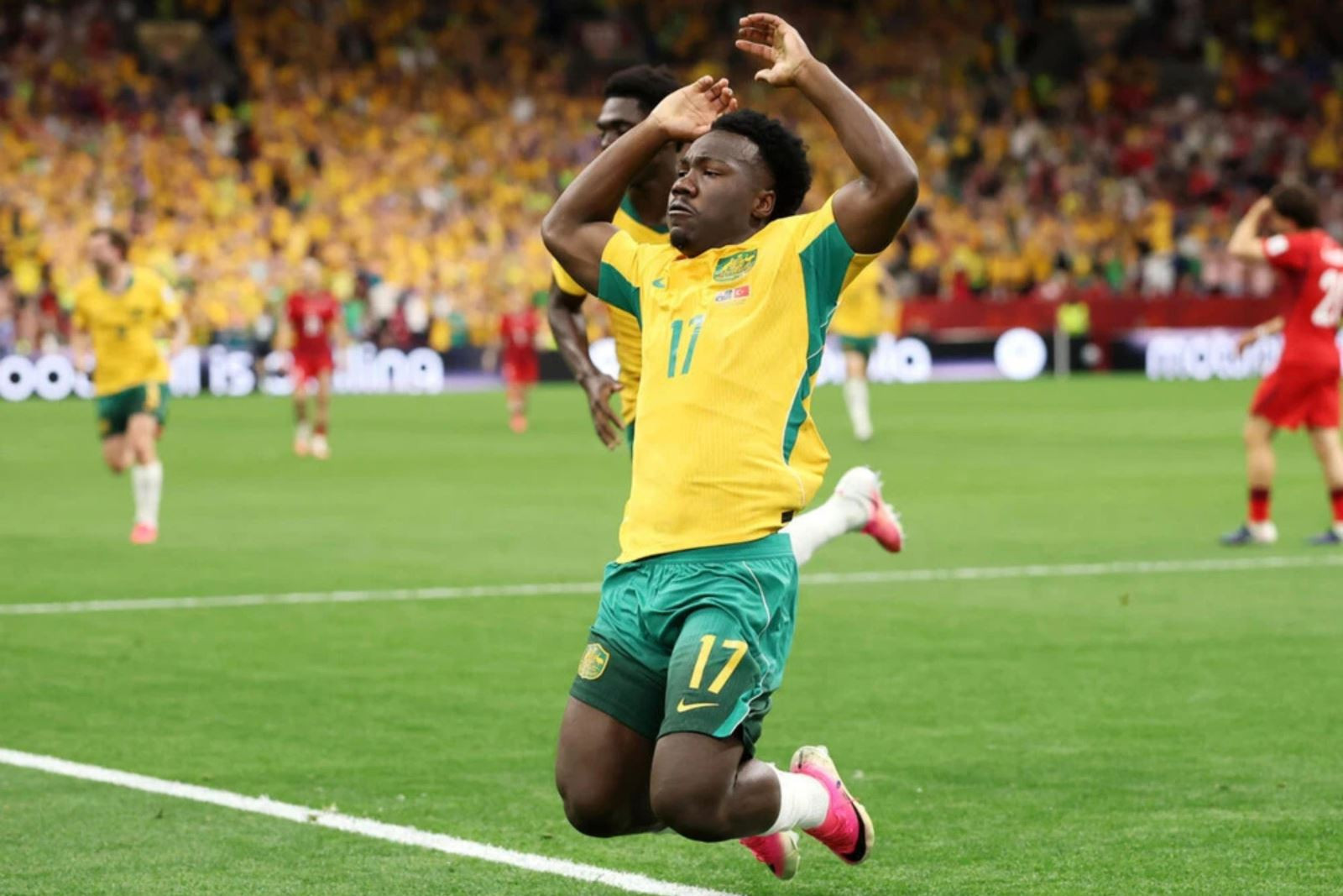 World Cup 2026: Mèo 'tiên tri' dự đoán bất ngờ về kết quả trận Mỹ vs Australia插图1 World Cup 2026: Mèo
