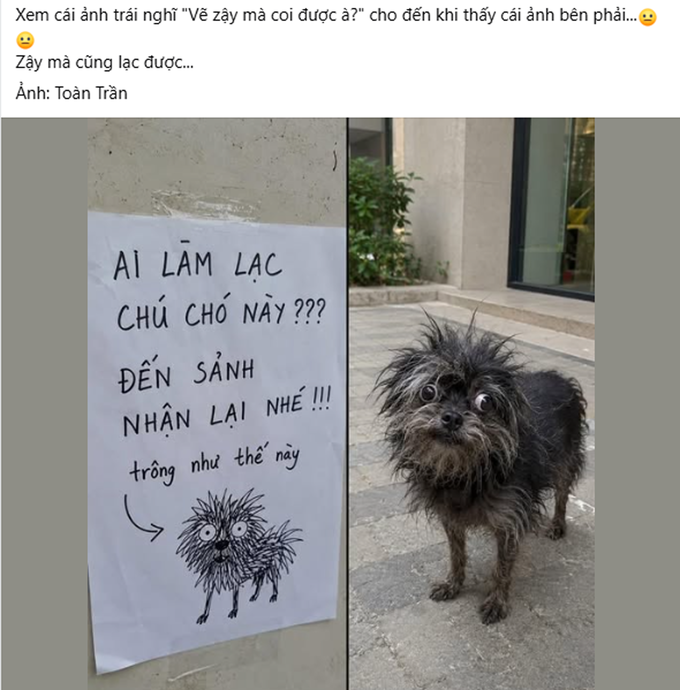 Tưởng tranh trẻ con vẽ chơi, ai ngờ là ảnh chân dung chú chó đi lạc chính xác đến từng cọng lông插图2 Chia sẻ nhận về hàng nghìn lượt thích trên mạng xã hội.