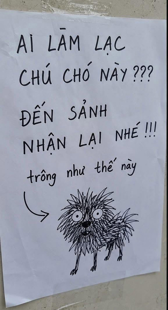 Tưởng tranh trẻ con vẽ chơi, ai ngờ là ảnh chân dung chú chó đi lạc chính xác đến từng cọng lông插图 Tờ giấy thông báo tìm chủ nhân của chú chó cưng đi lạc đã ngay lập tức gây bão.